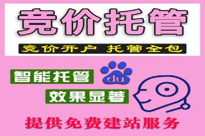 案例分享：信息流广告投放公司的策略与技巧